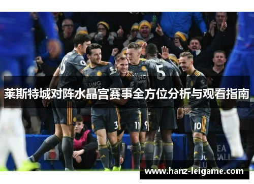 莱斯特城对阵水晶宫赛事全方位分析与观看指南