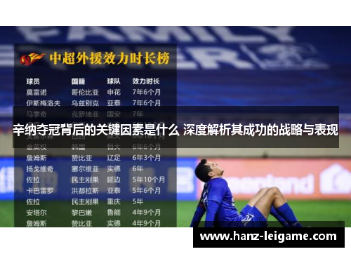 辛纳夺冠背后的关键因素是什么 深度解析其成功的战略与表现