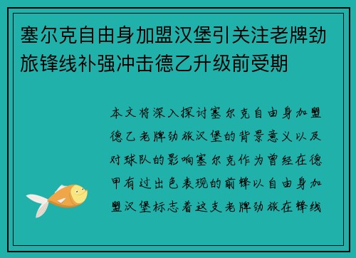 塞尔克自由身加盟汉堡引关注老牌劲旅锋线补强冲击德乙升级前受期 塞尔克自由身加盟汉堡引关注老牌劲旅锋线补强冲击德乙升级前受期